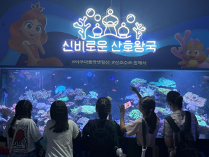 서대문청소년센터 여름방학 영어동행캠프 ‘아쿠아플라넷 체험’
