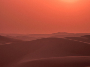 SF영화 듄(Dune) 시리즈의 세 번째 작품 제작이 아부다비의 그림 같은 리와 사막(Liwa Desert)에서 진행된다