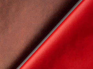 Qorium is successfully producing sustainable real leather