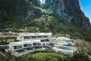 코스모스 울릉도