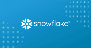 스노우플레이크 로고