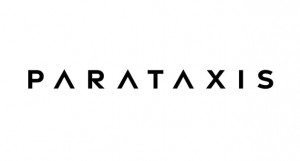 파라택시스 홀딩스 로고