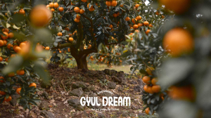 농업회사법인 비비드드리머는 ‘일상의 행복을 꿈꾸는 사람들’이라는 슬로건 아래 제주 기반 농업·유통 경험을 살려 로컬 특산물의 가치를 재발견하는 기업이다. 서귀포시 서홍동에 위치하며, 온라인 MD 전문 역량을 바탕으로 제주 감귤의 프리미엄화를 선도하고 있다