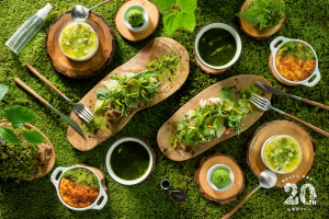 이끼를 감상하며 즐기는 ‘이끼 모닝\'