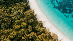 저비스 베이, 뉴사우스웨일즈