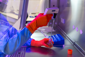 Clean Cells and Naobios Showcase Complete End-to-End Viral Vaccines and Vector Solutions at Bio Korea 2026 (Source: Clean Cells)