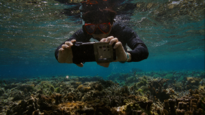 삼성전자가 갤럭시 카메라 기술을 활용한 산호초 보호 프로젝트 ‘코랄 인 포커스’로 국제 어워드를 잇따라 수상했다