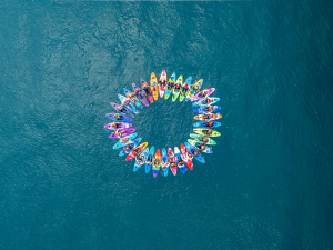 시드니 바이 카약