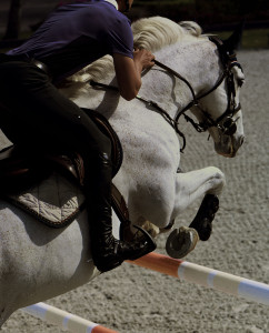 The Premier Jumping League (PJL), photographed by Daniel Benson.