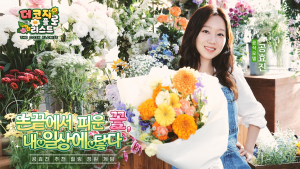 더 코지 플로리스트 메인 이미지
