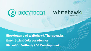 Biocytogen and Whitehawk Therapeutics Enter Global Collaboration for Bispecific Antibody ADC Development