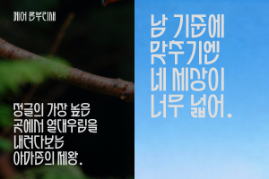 신규 서체 ‘페어 큰부리새’를 적용한 타이포그래피 디자인 예시안