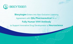 Biocytogen Enters into Non-Exclusive Licensing Agreement with Qilu Pharmaceutical for a Fully Human VHH Antibody to Support Innovative Drug Developmen...