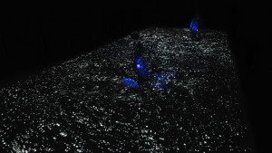 팀랩 플래닛(teamLab Planets), Body of Waves, 2026,2016-© *실제 공간에서 촬영. AI 또는 CGI 미사용.