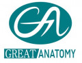 그레이트 아나토미 Logo