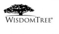 WisdomTree, Inc. Logo