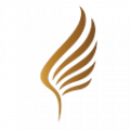 마칭밴드 비상 Logo