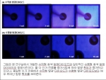 포항공대 신소재공학과 이종람(李鐘覽, 47세) 교수 연구팀은 과학기술부 국가지정연구실 사업 지원으로 세계 최초로 금속박막 수직형 청색 발광다이오드 기술을 개발하는데 성공하고, 이어