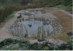 2004년도 생물서식공간 조성결과(월드컵공원)