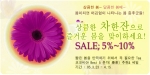 커피&차 전문쇼핑몰 코코비아(www.cocobia.co.kr 대표 김광률)은 4월 15일까지 봄이 되면 어김없이 찾아오는 봄 증후군을 날리기 위한 春茶(춘차) 할인 행사를 실시한다