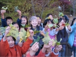 산림청(청장 조연환)은 희망이 있는 미래의 숲 조성을 위하여 1999년부터 학교숲 조성사업을 추진하여 전국적으로 300여개의 학교에 숲을 조성하였으며 금년 봄에는 전국 230여개 