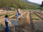 경기도, 주말농원 도시민 쉼터로 각광