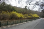 남산공원관리사업소에서는 남산을 둘러싸고 있는 휀스 총 25.9km중 14km를 2005년 6월중 철거완료한다. 