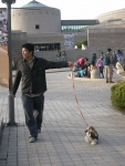 최근 돈을 벌어보겠다는 욕심보다 개가 좋아 취미생활로 '펫 도우미'를 시작하려는 사람들이 늘어가는 추세다.
