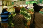 강원도 농특산물 브랜드전