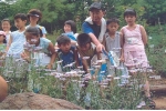 2005 서울사랑시민상 환경부문 본상을 수상한 사람(단체)으로 푸른마을 분야는 성동구 매봉산 중턱의 등산로 주변에 야생화를 식재하여 가꾸고, 야생화마다 이름표를 달아 초·중학생들을