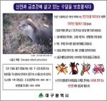 대구시는 『신천과 금호강에 서식하는 수달을 사랑합시다』수달보호 안내판을 제작하여 부착하고, 시설안전관리사업소와 북구청의 감시인력 10명을 증원 하는 등 보호대책이 하나씩 추진하고 