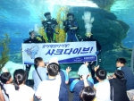 샤크다이브 추천하고 방콕가자