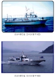 국립수산과학원, 선상어류이동병원 운영
