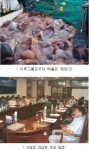 국립수산과학원(원장 김영규)은 여름철 해파리 대량 출현으로 발생하는 어업피해를 줄이기 위하여 개발하고 있는 트롤어구용 해파리 분리배출장치에 대한 현장 어업종사자들에게 지금까지 개발