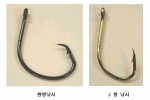 국립수산과학원, 바다거북 등 다랑어 연승어업 혼획방지를 위한 새로운 낚시 시험 조사