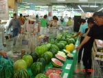 수박 전시회 전경