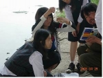 수질측정 모습(안양천)
