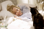 니콜 키드만 주연 ‘그녀는 요술쟁이’  8월 25일 국내 개봉 확정