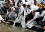 서울특별시 한강시민공원사업소에서는 해양수산부와 공동으로 물고기 치어방류 체험행사를 2005. 7. 21.(목)   15:00～16:00에 선유도공원 (한강전시관 앞)에서 실시하였다