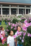 2004년 나라꽃무궁화큰잔치