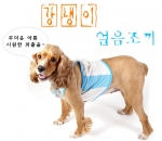 애완동물용 얼음조끼 [강냉이] 착용모습