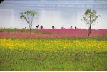2004년도 동상 ‘한강의 봄’