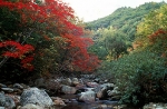 청량산