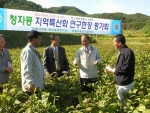 청자콩 지역 특산화 연구 현장 평가회