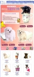 온라인 종합쇼핑몰 디앤샵(www.dnshop.com)에서는 온라인쇼핑몰 업계 단독으로 요크셔테리어, 말티즈, 푸들 종의 ‘티컵강아지(초소형강아지)를 판매한다.