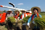 10월10일 파주 적성면 가월리 마을회관 앞에서 벼베기를 마친 손학규 경기지사가 벼를 한아름 안고 포즈를 취하고 있다.