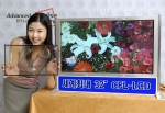 컬러필터가 없는 LCD 유리 패널을 들고 있는 모델이 삼성전자가 개발한 컬러필터가 없는 세계최대 32인치 TV용 LCD 패널 앞에 있는 모습