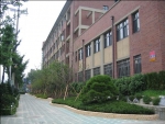 걷고싶은 녹화거리 조성사업 조성 후