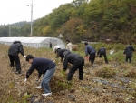 경상북도 공보관실 윤정길 공보관과 직원들은 10월 21일(금) 자매결연 마을인 영양군 석보면 답곡2리 마을(리장 김상열)을 찾아 가을걷이 등에 바쁜 농촌 일손돕기에 나섰다.