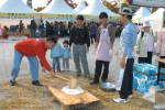 지난해 행사